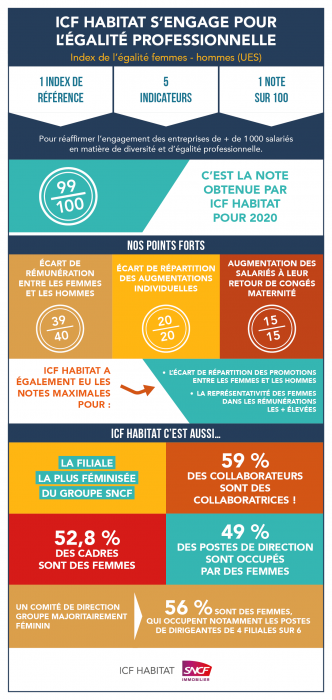 Indes femmes-hommes 2020
