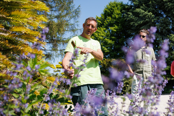 participants visitant les jardins