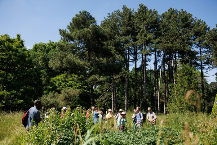 participants dans le bois de Vincennes