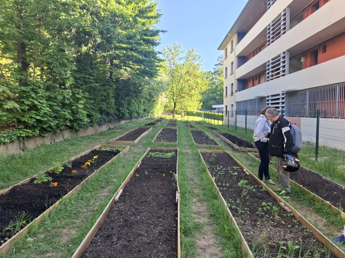 potager partagé oullins