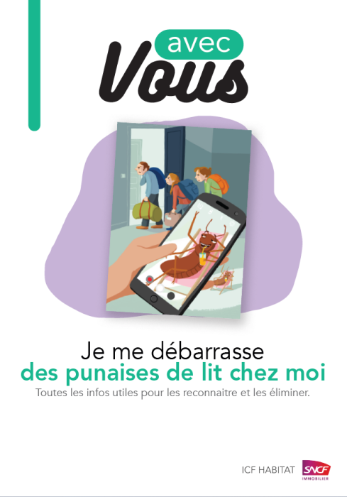 Punaises de lit