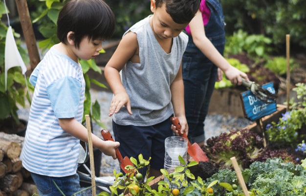 Catégorie développement durable : « Le jardin Youhou! » par l’association CIBB (Centre d’Insertion des Bois Blancs) pour la résidence Les Peupliers à Lille.  